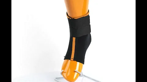 Basic Ankle Support with Velcro Closure