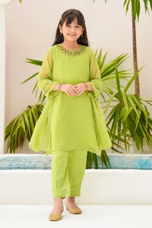 Chiffon Hand Adda Work 3 Pc Suit