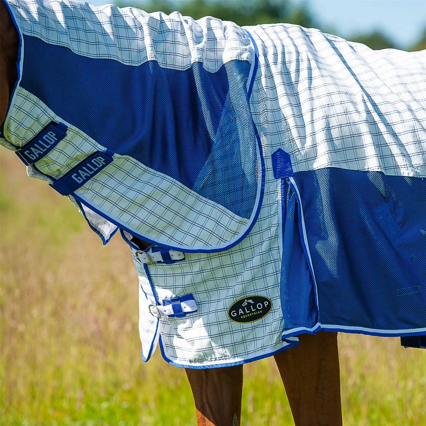 Gallop Equestrian Air Mesh Summer Sheet Combo