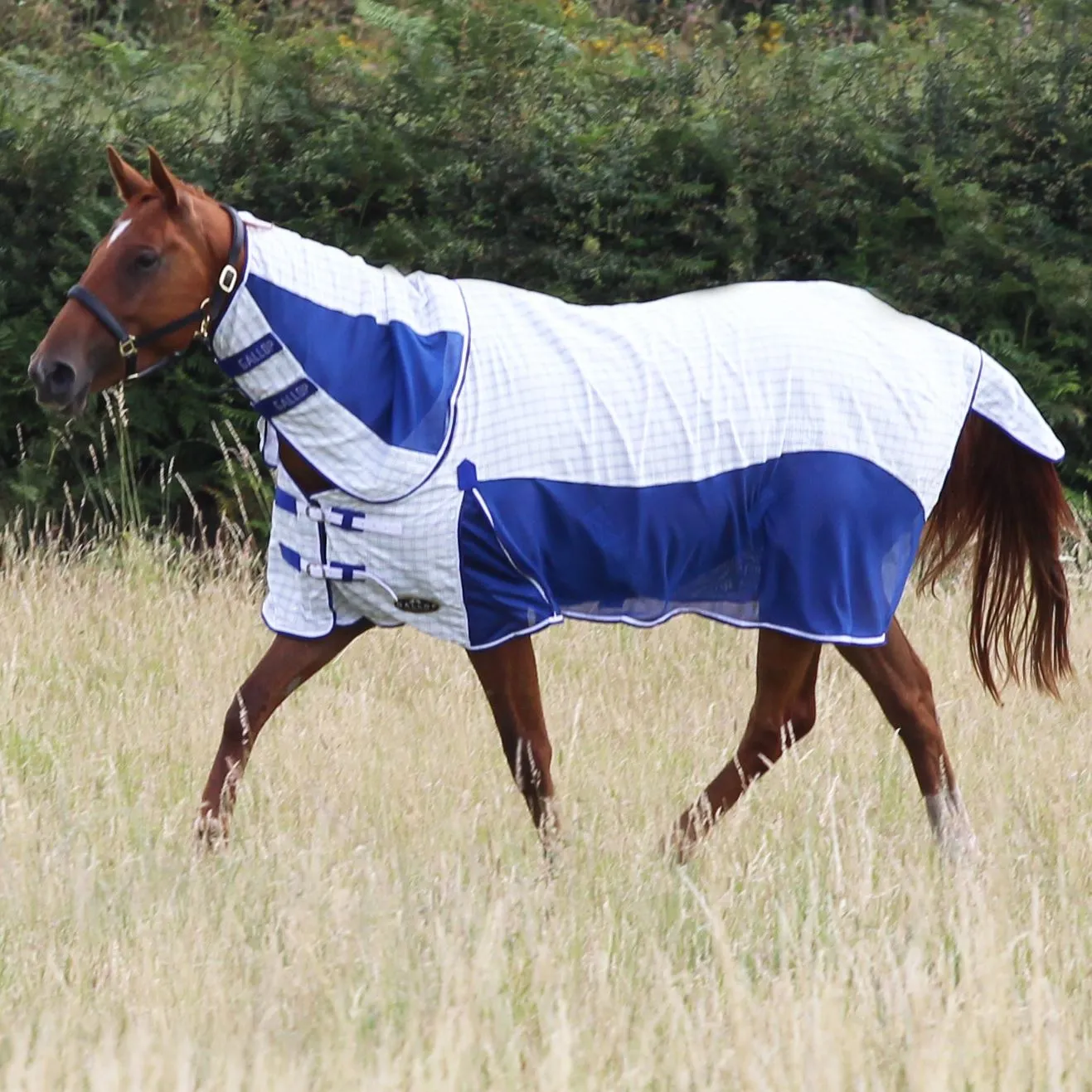 Gallop Equestrian Air Mesh Summer Sheet Combo