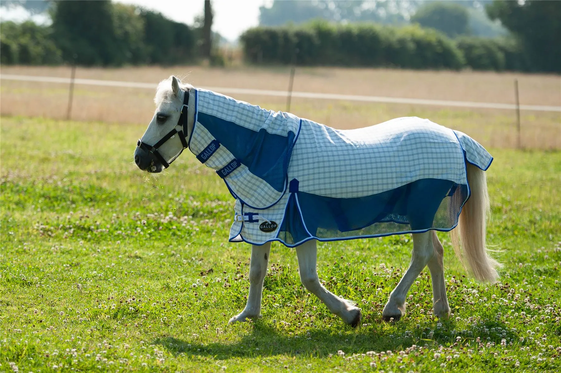 Gallop Equestrian Air Mesh Summer Sheet Combo