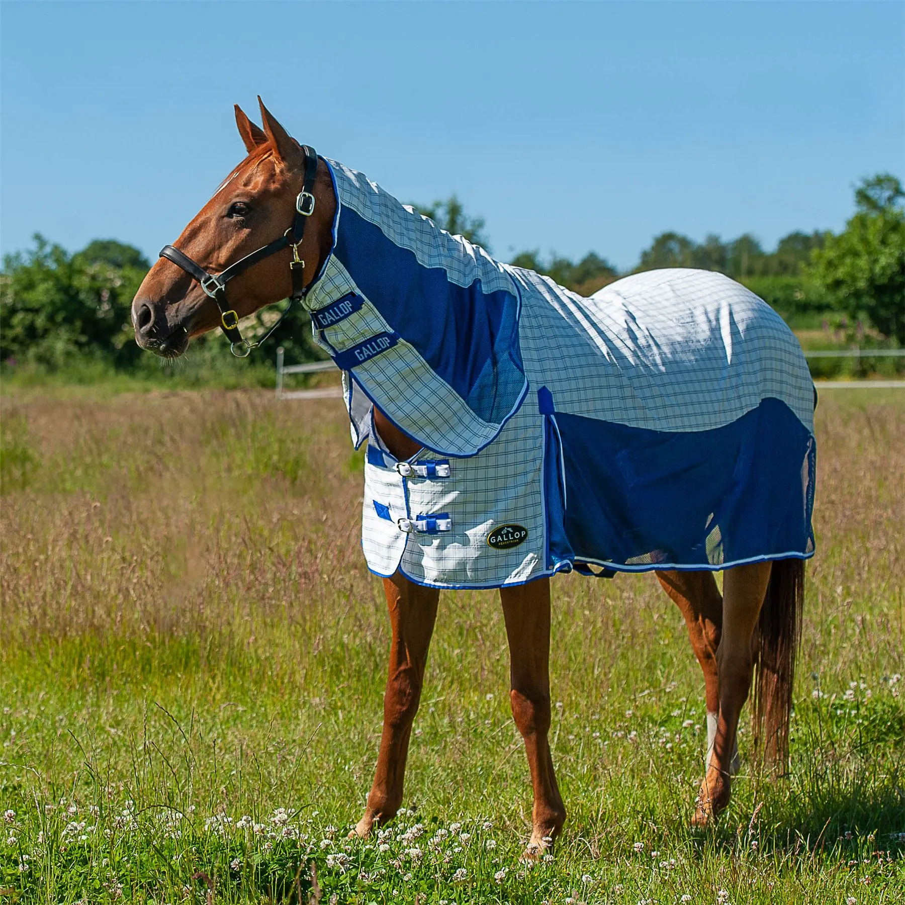 Gallop Equestrian Air Mesh Summer Sheet Combo