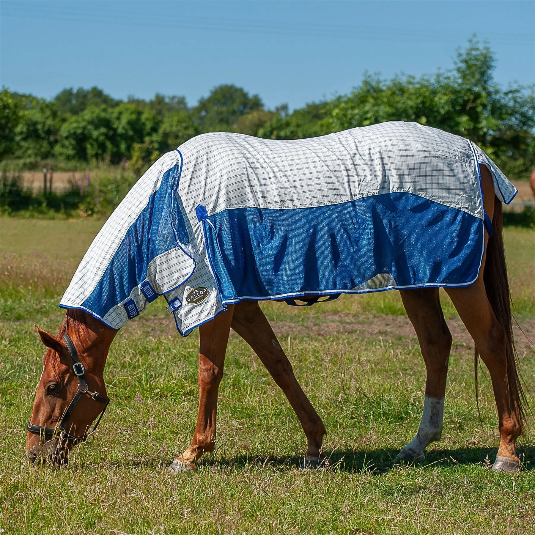Gallop Equestrian Air Mesh Summer Sheet Combo