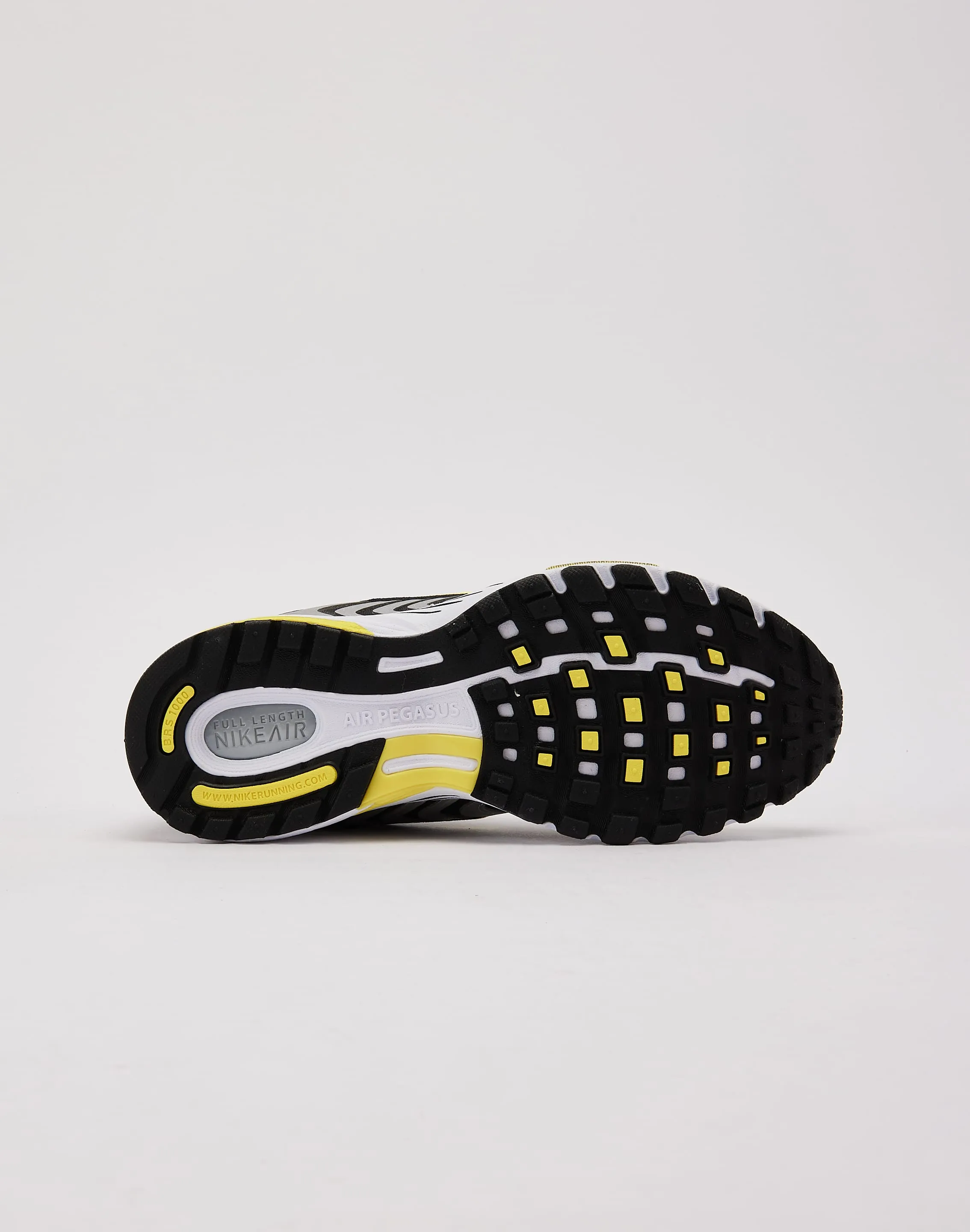 Nike Air Pegasus 2005