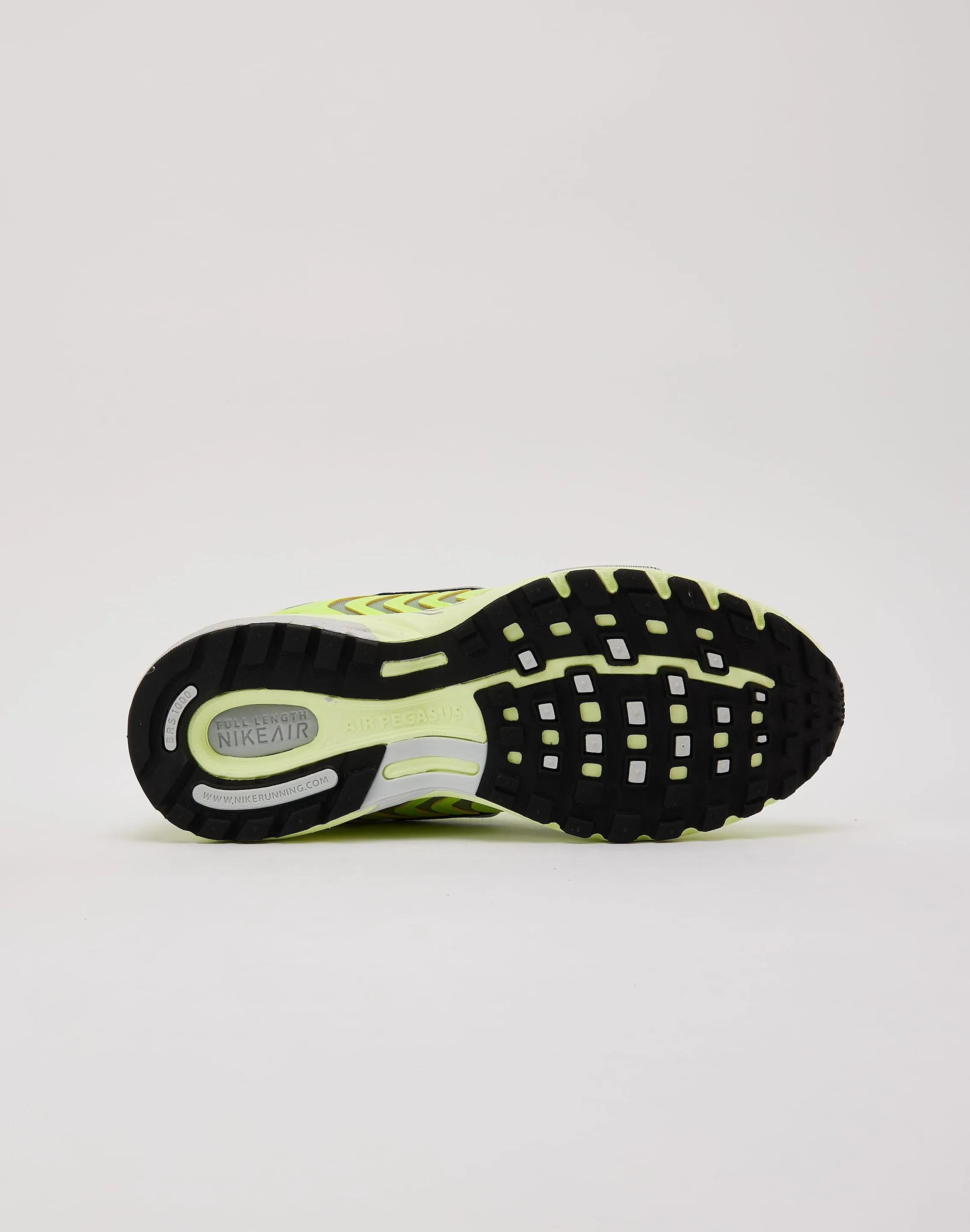 Nike Air Pegasus 2005
