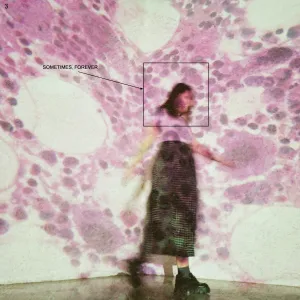 SOCCER MOMMY 'Sometimes, Forever' LP