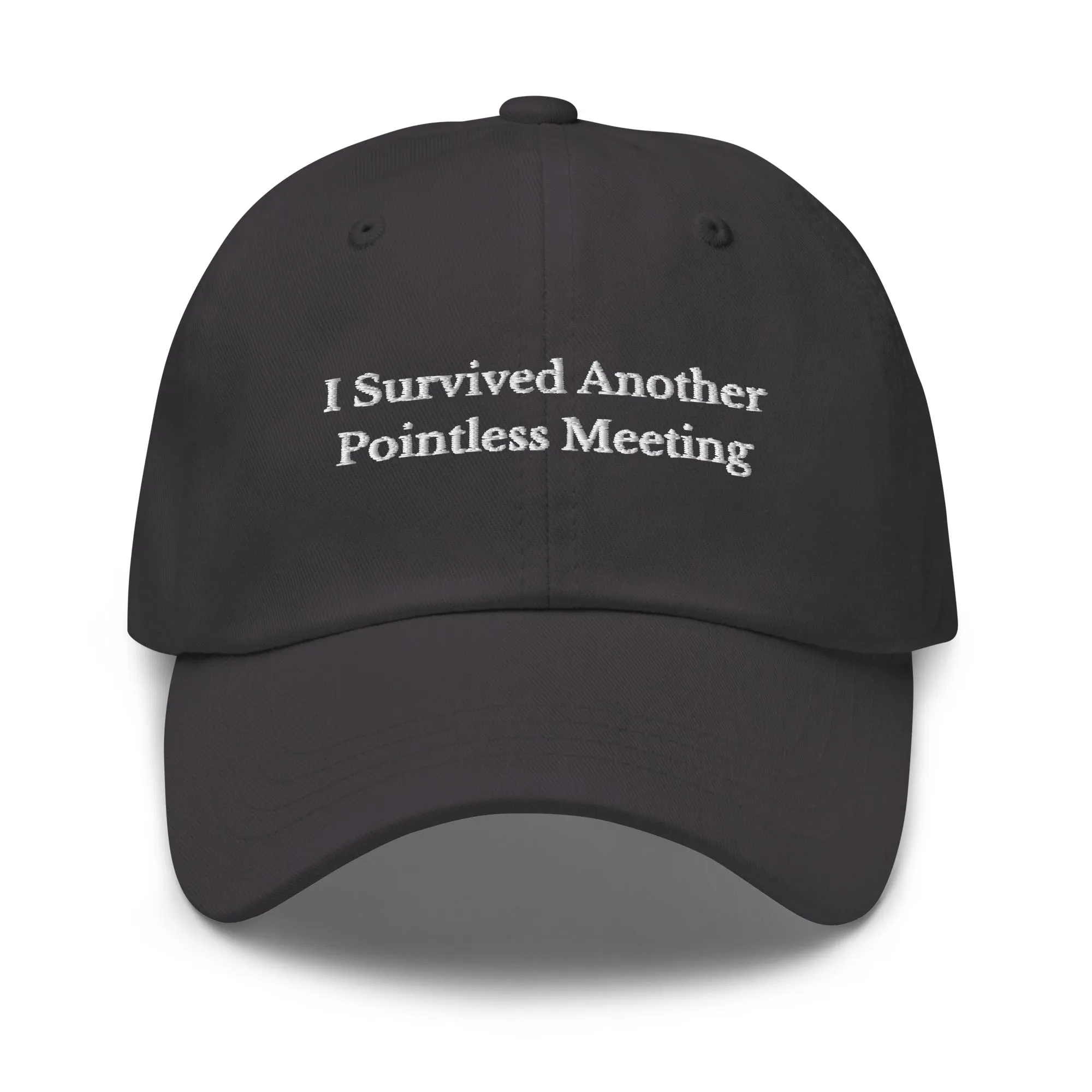 Survived Pointless Meeting Cap