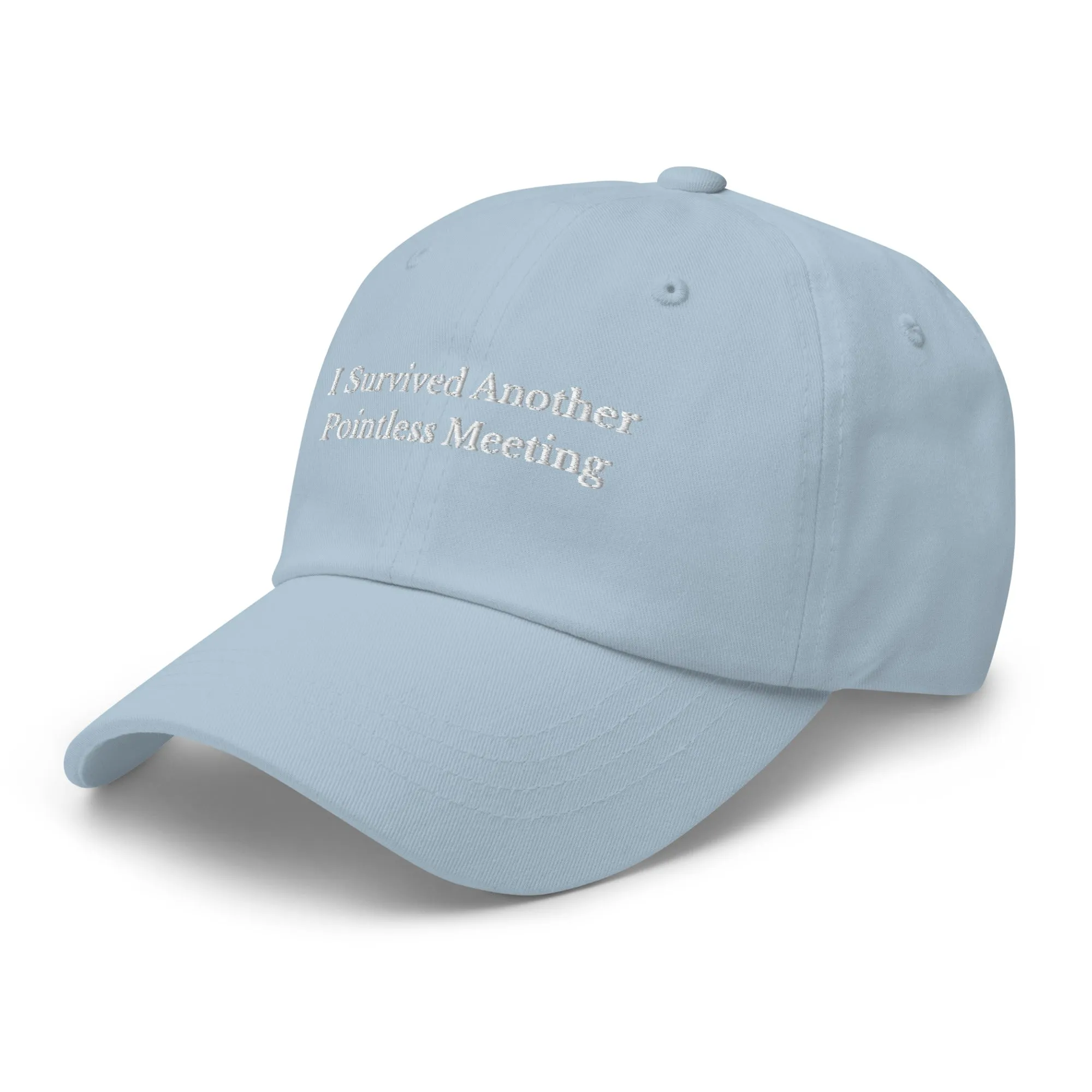 Survived Pointless Meeting Cap