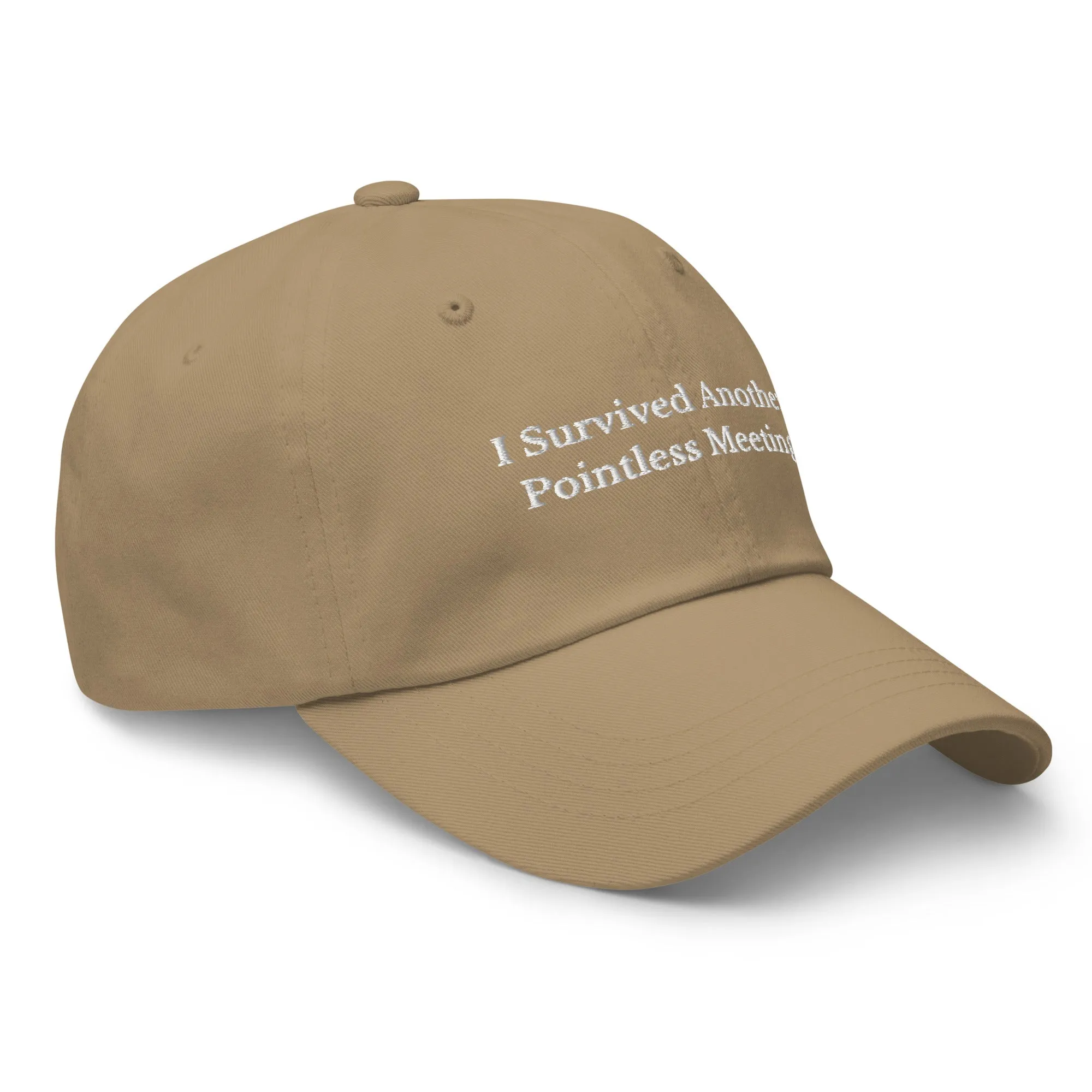 Survived Pointless Meeting Cap